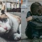 Update Link Video Anak di Paksa Menyetubuhi Kucing Viral di Twitter